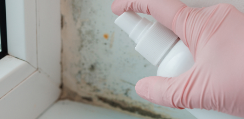 hoe schimmel verwijderen badkamer plafond